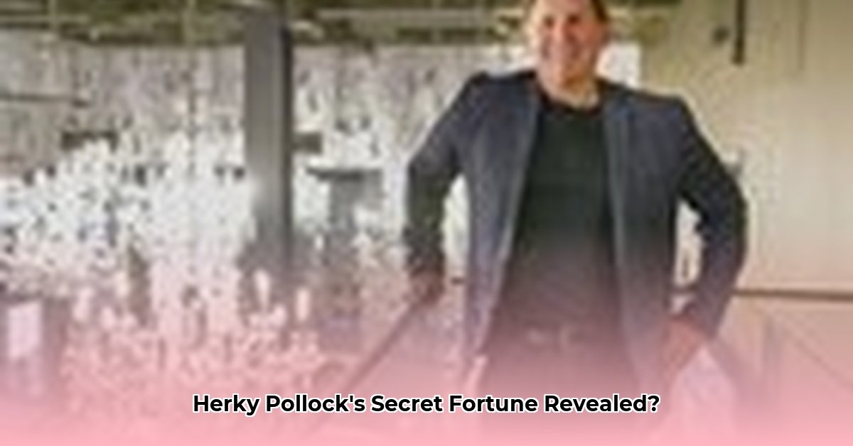 herky-pollock-net-worth